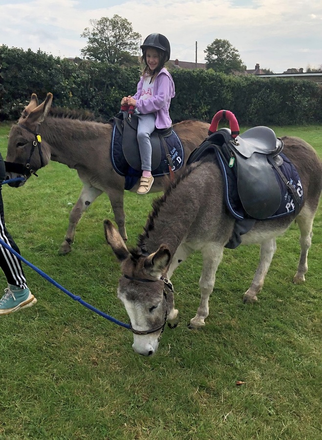 Free Donkey Rides